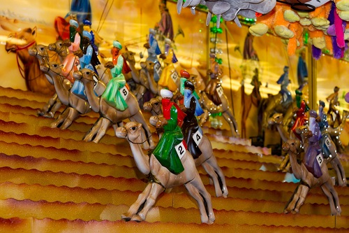kamelen race