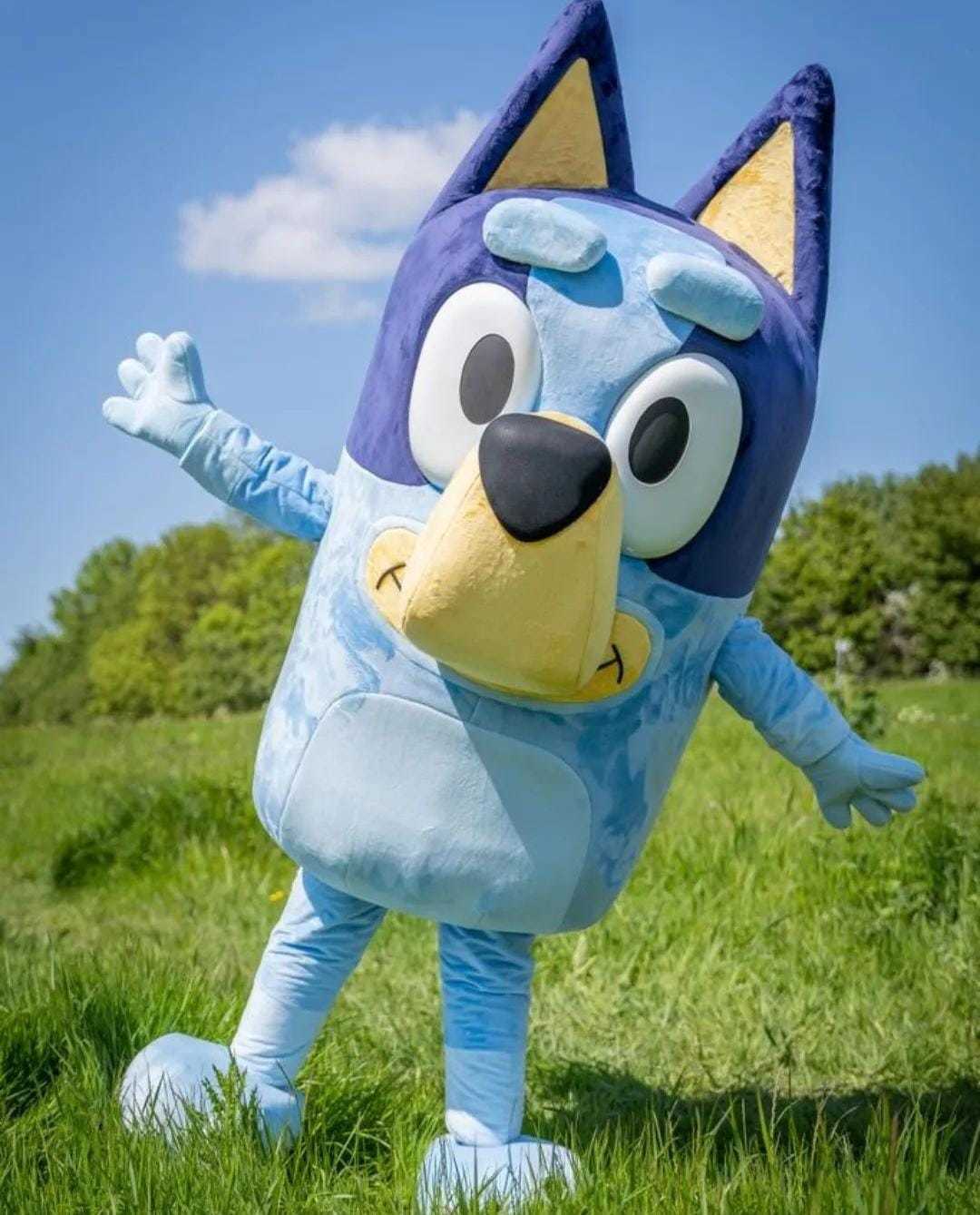 Bluey